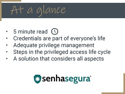 The Life Cycle of Privileged Access