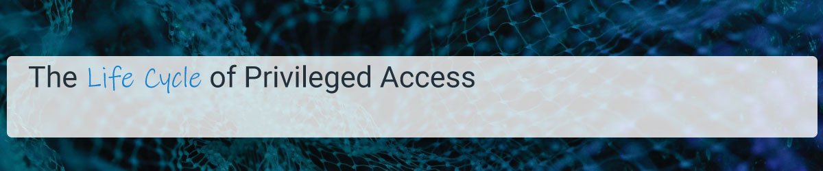 The Life Cycle of Privileged Access