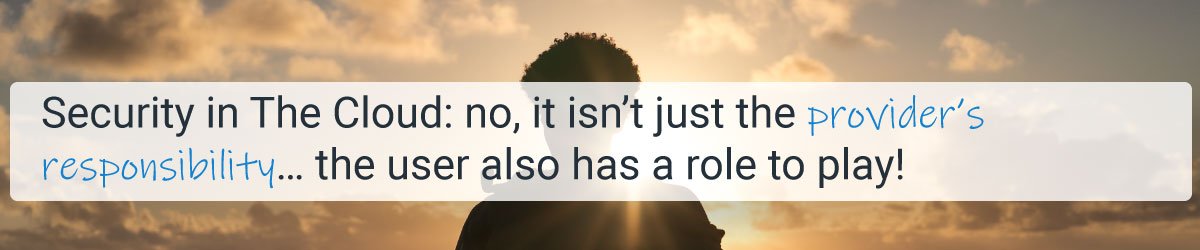 Security in The Cloud